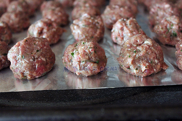 Bolitas-de-carne02
