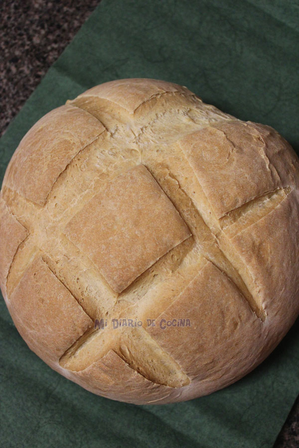 Pagnotta pan italiano