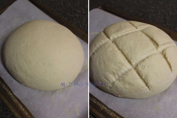 Pagnotta pan italiano