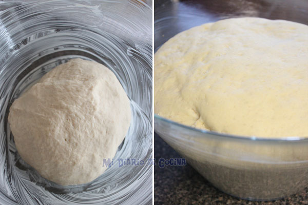 Pagnotta pan italiano