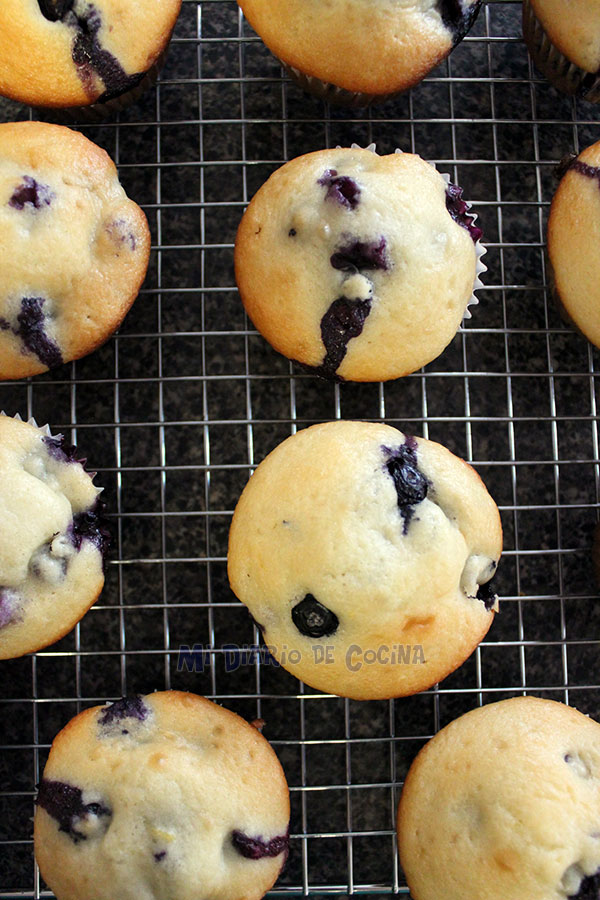Muffins de arándanos, limón y yogurt Muffins de arándanos, limón y yogurt