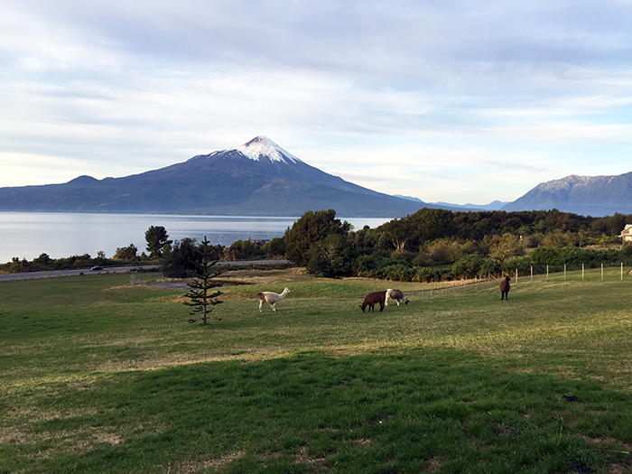 Photo-Apr-11,-5-55-21-PM