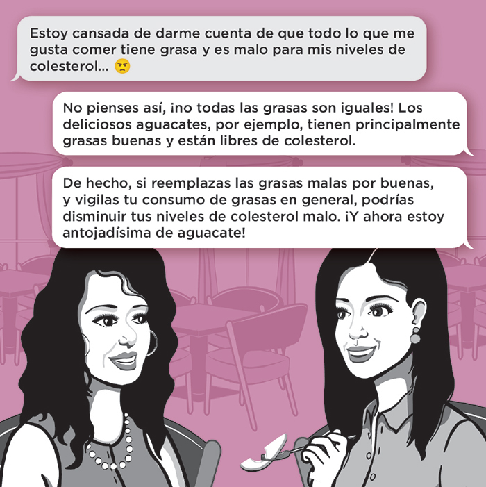 Aguacate Hass - Diálogo Aguacate Hass - Diálogo