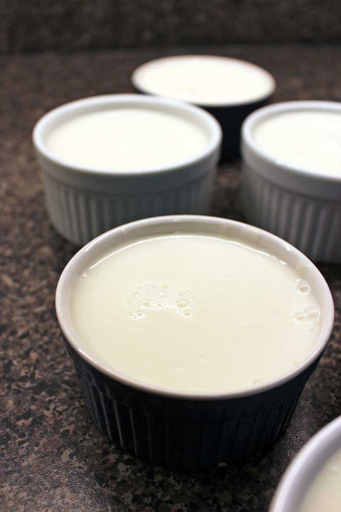 Panna cotta de leche de coco y salsa de granada Panna cotta de leche de coco y salsa de granada