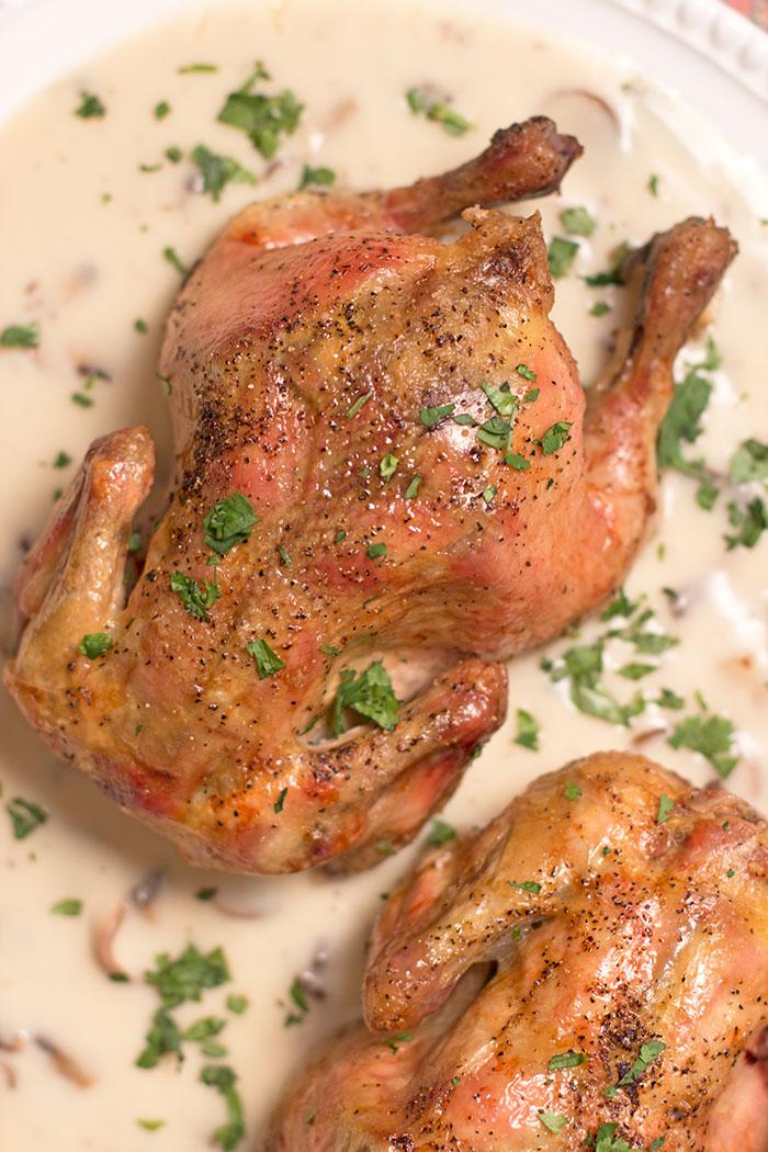 Gallinas con salsa de champiñones y vino Gallinas con salsa de champiñones y vino