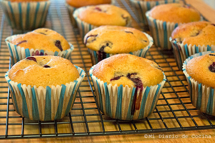 Muffins de arándanos