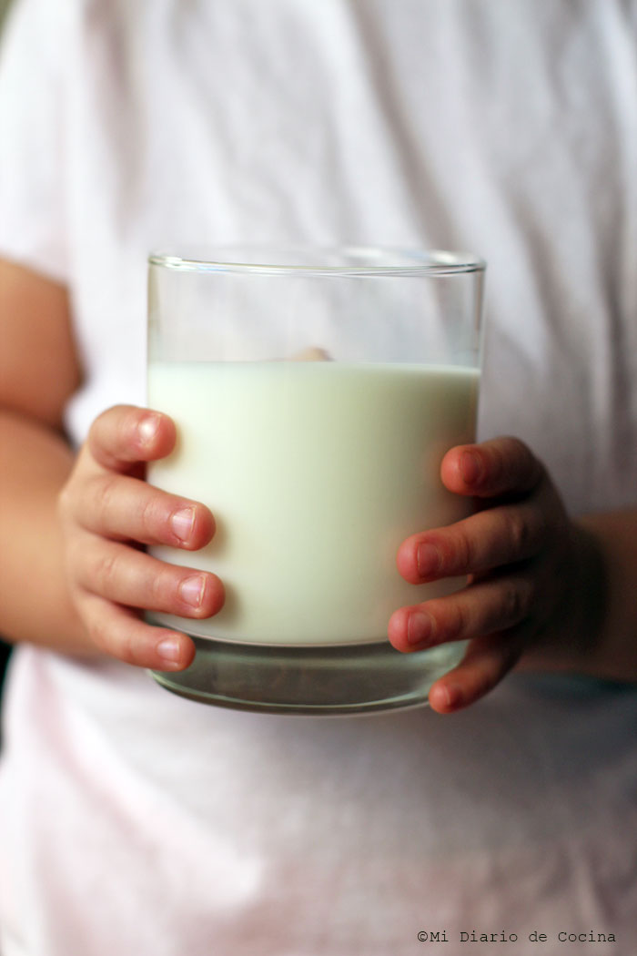 Leche Leche