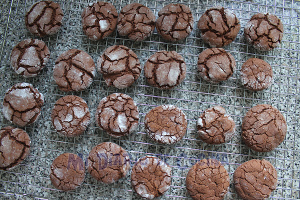 Galletas de chocolate Galletas de chocolate