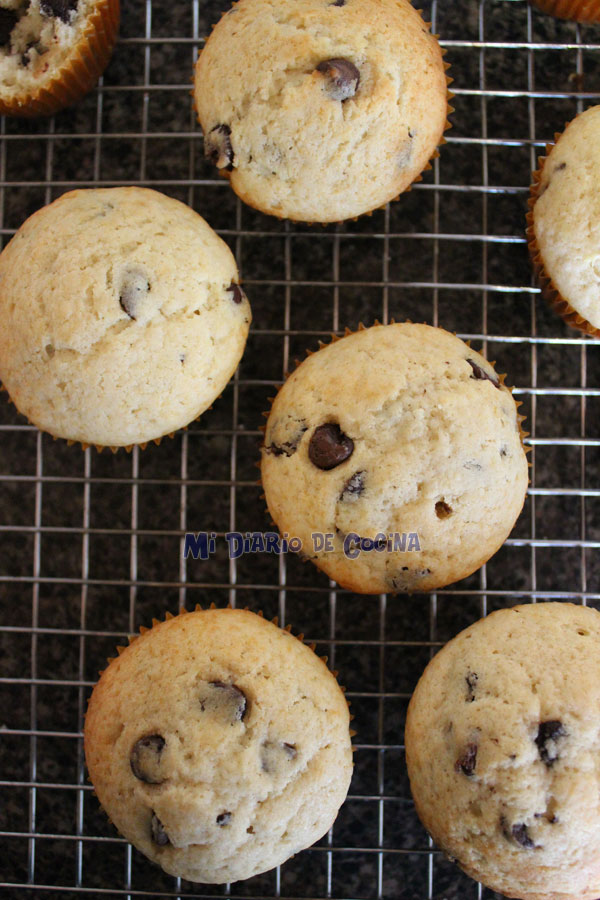 Muffins con chips de chocolate