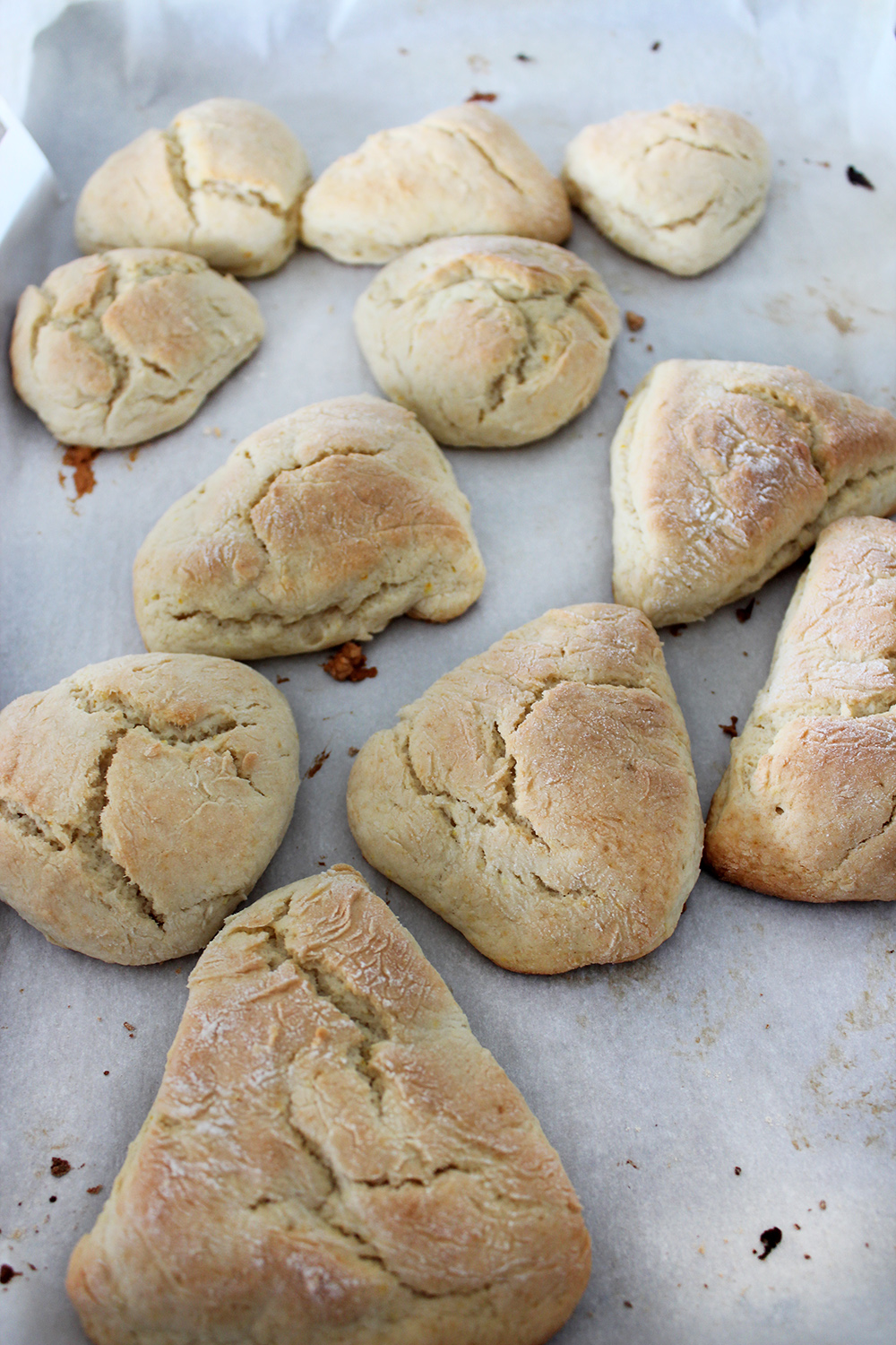 Scones de naranjas Scones de naranjas
