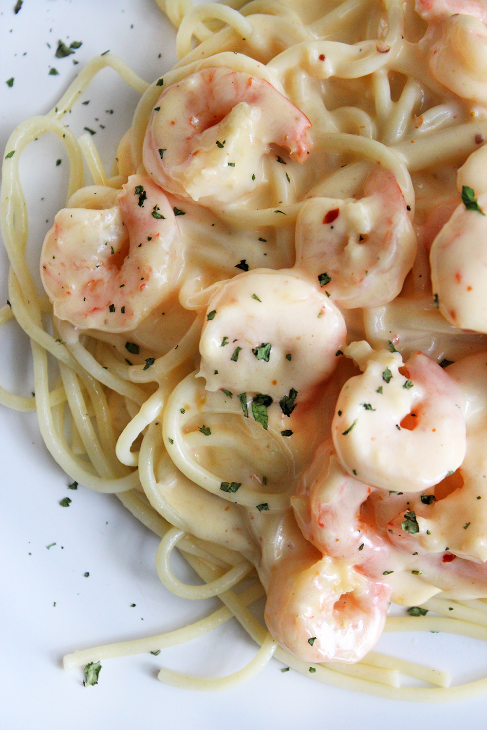 Pasta con camarones y salsa de queso con merquén