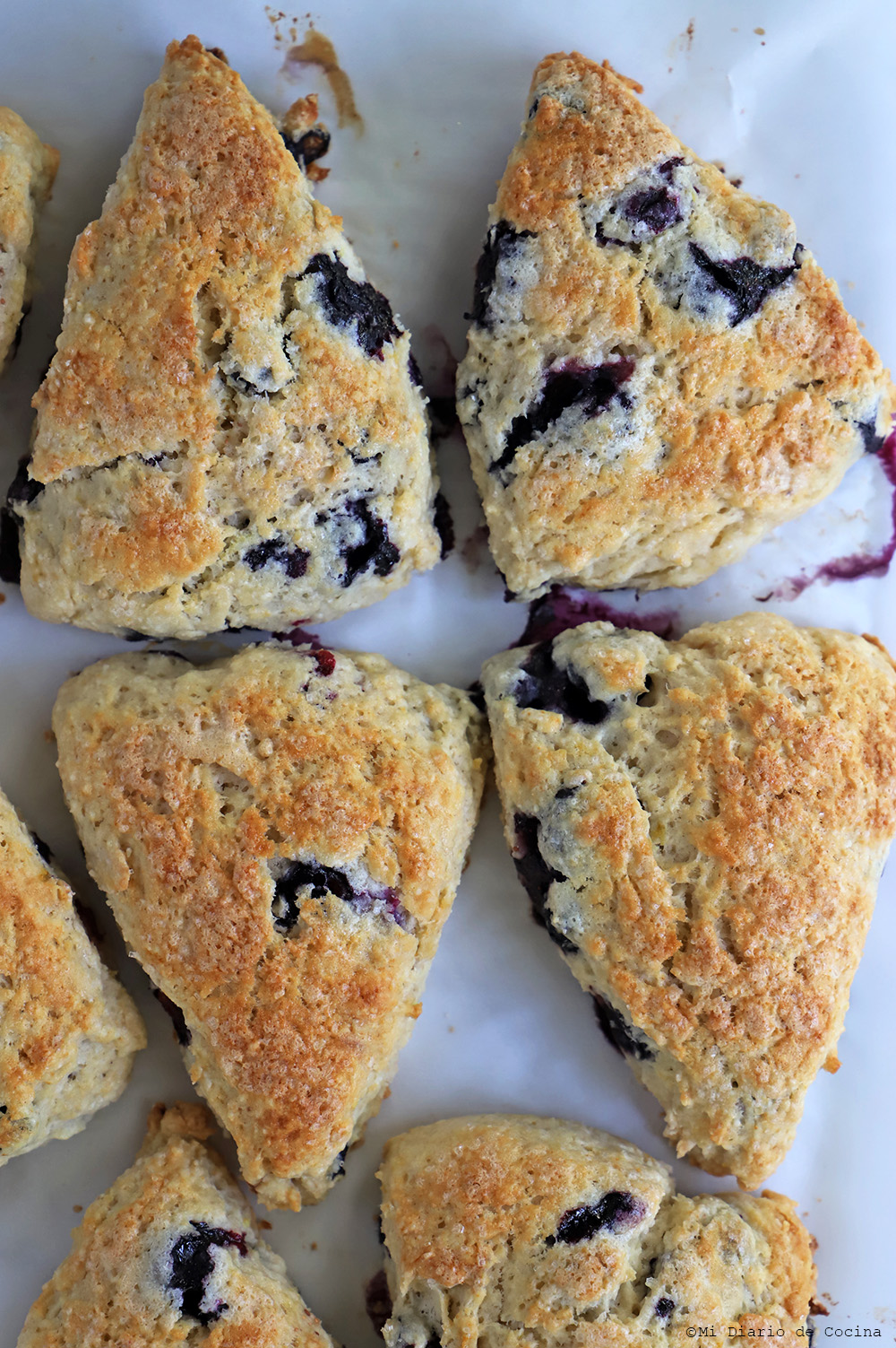 Scones de arándanos Scones de arándanos