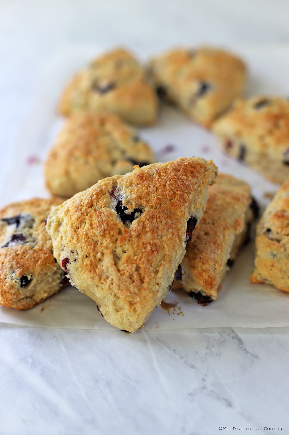 Scones de arándanos Scones de arándanos